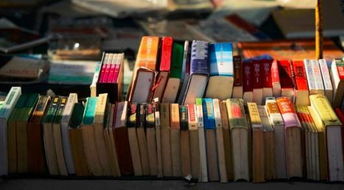 不花钱就能学到的MBA课程12 开发产品生命周期——以图书为例